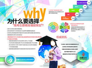 高效志愿填報指南 免費素材下載與模板使用