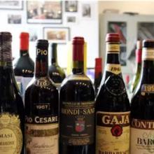 多元化商貿(mào)服務(wù) 石材機(jī)械、食品化工報(bào)關(guān)代理與藝術(shù)品代理的融合創(chuàng)新